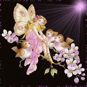 Meet your Posher, Isabel